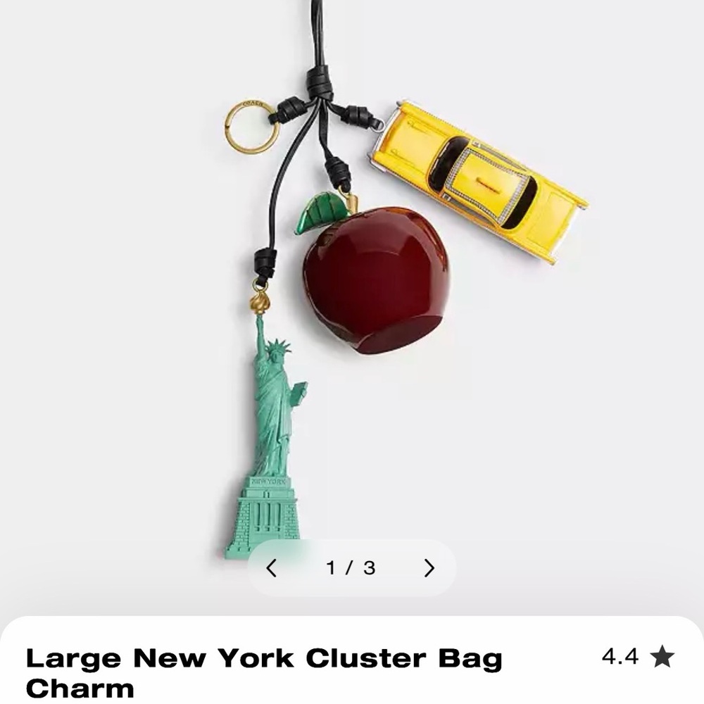 Coach Large New York Cluster Bag Charm